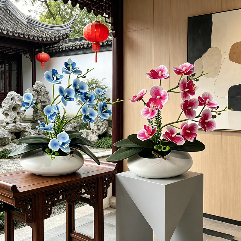Orchid Phalaenopsis - 나비 난초 12 꽃 분재 작은