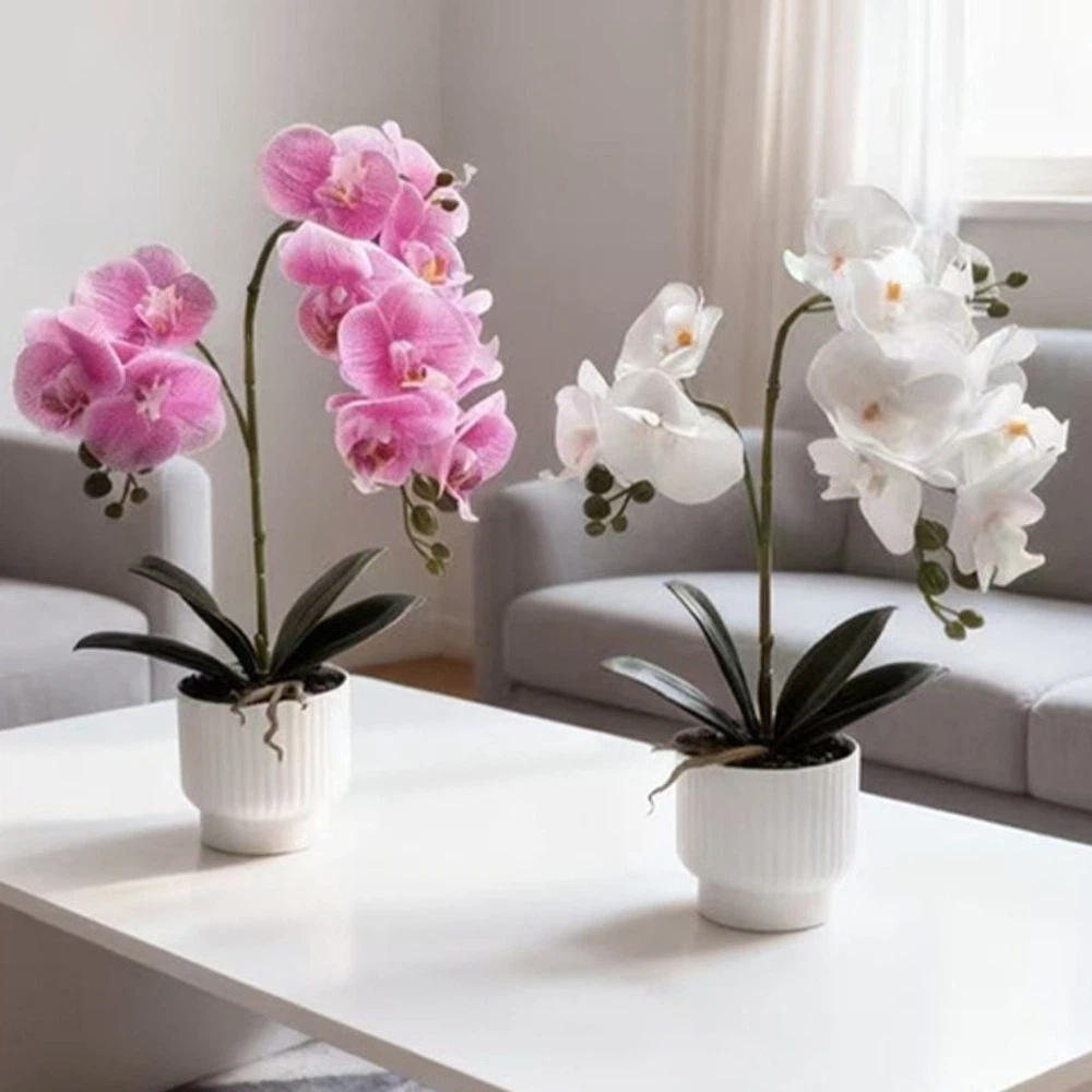 멀티 블룸 시뮬레이션 나비 난초 DIY 화이트 화분 인 - Orchid Phalaenopsis 리뷰 및 가격
