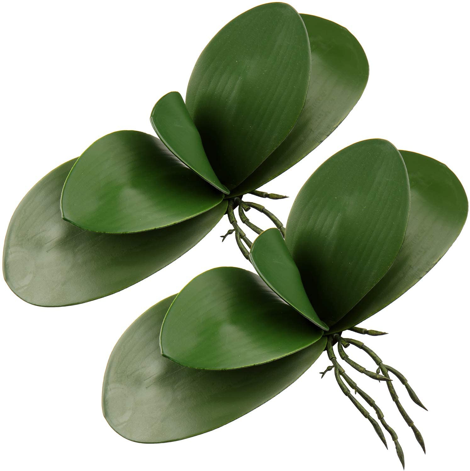 인공 호접란 잎, 리얼 라텍스 터치 식물 배열, 가짜  - Orchid Phalaenopsis 리뷰 및 가격