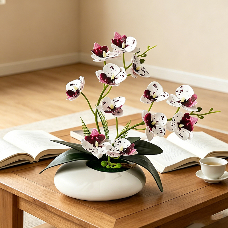 나비 난초 12 꽃 분재 작은 장식품 거실 장식 필름  - Orchid Phalaenopsis 리뷰 및 가격