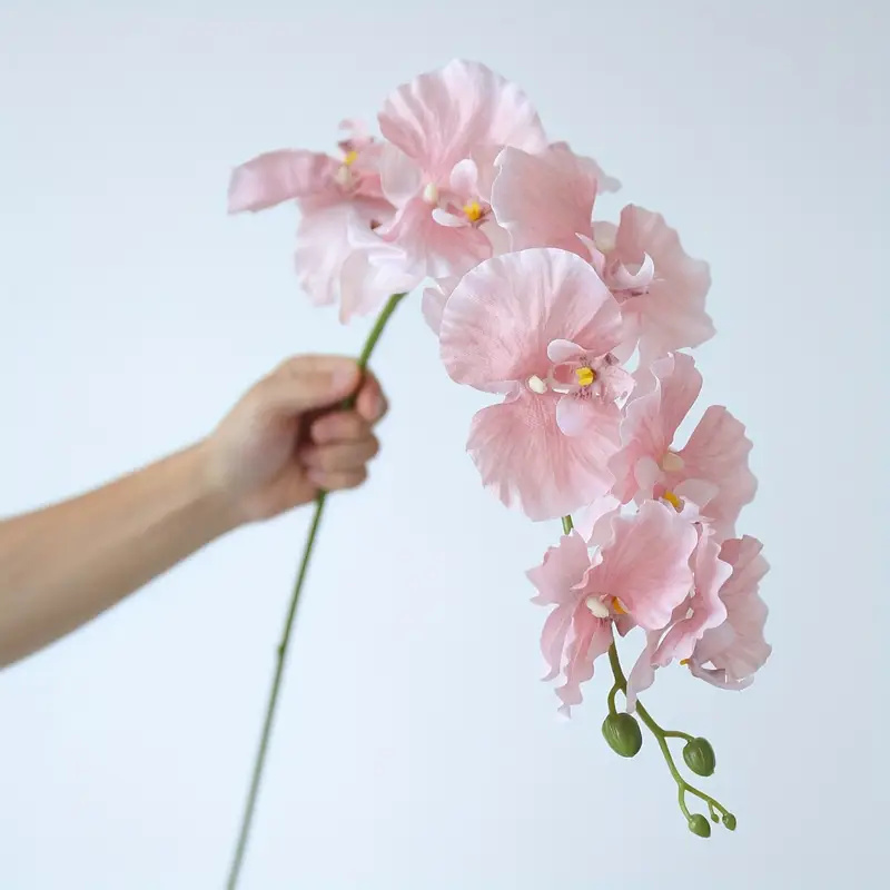 롱 브랜치 나비 난초 인조 꽃 홈 커튼 월 웨딩 장식  - Orchid Phalaenopsis 리뷰 및 가격