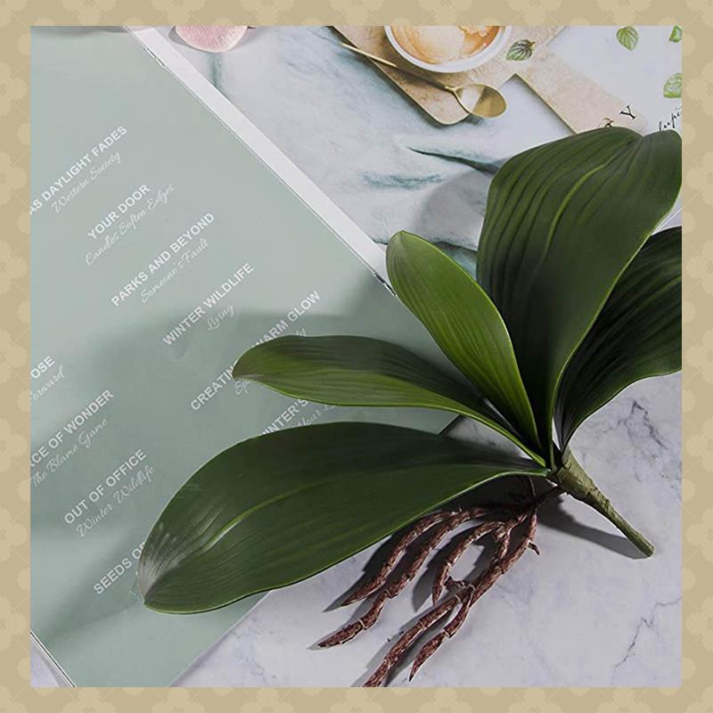 AB45 호접란 잎 인공 실제 뿌리 라텍스 접촉 식물  - Orchid Phalaenopsis 리뷰 및 가격